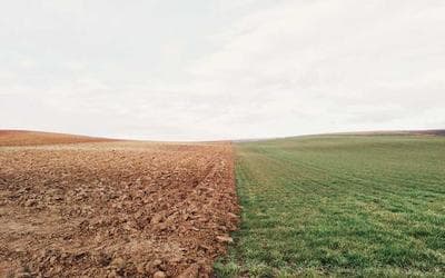 Navigating local HOA and zoning requirements